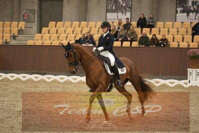 Ecco Cup Finaler 2019
Junior, u18
Nøgleord: cecilie hedegaard;silhuet