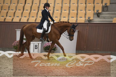 Ecco Cup Finaler 2019
Junior, u18
Nøgleord: cecilie hedegaard;silhuet