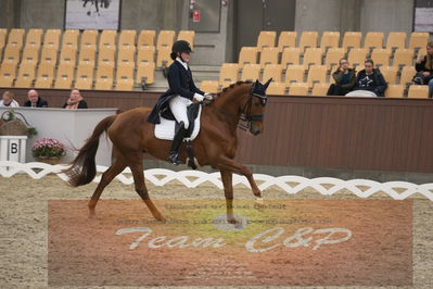 Ecco Cup Finaler 2019
Junior, u18
Nøgleord: cecilie hedegaard;silhuet