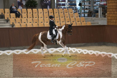 Ecco Cup Finaler 2019
Junior, u18
Nøgleord: josephine rathje facius;stand proud