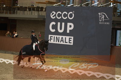 Ecco Cup Finaler 2019
Junior, u18
Nøgleord: alexander yde helgstrand;grevens sava;lap of honour