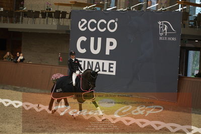 Ecco Cup Finaler 2019
Junior, u18
Nøgleord: alexander yde helgstrand;grevens sava;lap of honour