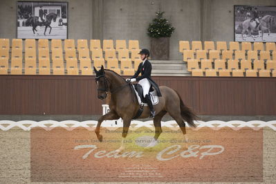 Ecco Cup finaler 2019
youngrider, u18
Nøgleord: sandra aagaard hyrm;cavanillas-w