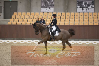 Ecco Cup finaler 2019
youngrider, u18
Nøgleord: sandra aagaard hyrm;cavanillas-w
