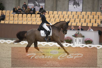 Ecco Cup finaler 2019
youngrider, u18
Nøgleord: sandra aagaard hyrm;cavanillas-w
