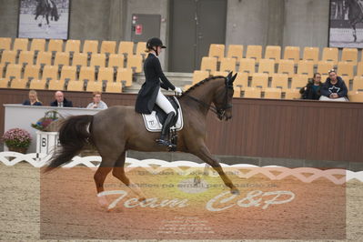 Ecco Cup finaler 2019
youngrider, u18
Nøgleord: sandra aagaard hyrm;cavanillas-w