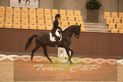 Ecco Cup finaler 2019
youngrider, u18
Nøgleord: ann gunggaard;armarni