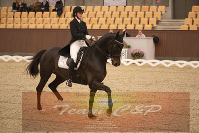 Ecco Cup finaler 2019
youngrider, u18
Nøgleord: ann gunggaard;armarni