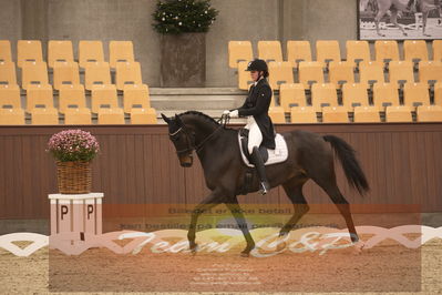 Ecco Cup finaler 2019
youngrider, u18
Nøgleord: ann gunggaard;armarni