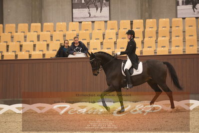 Ecco Cup finaler 2019
youngrider, u18
Nøgleord: ann gunggaard;armarni