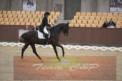 Ecco Cup finaler 2019
youngrider, u18
Nøgleord: ann gunggaard;armarni