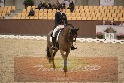 Ecco Cup finaler 2019
youngrider, u18
Nøgleord: ditte kvistgaard;divina