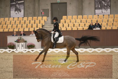 Ecco Cup finaler 2019
youngrider, u18
Nøgleord: ditte kvistgaard;divina