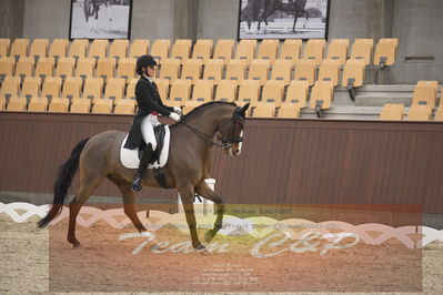Ecco Cup finaler 2019
youngrider, u18
Nøgleord: ditte kvistgaard;divina