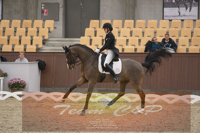 Ecco Cup finaler 2019
youngrider, u18
Nøgleord: ditte kvistgaard;divina