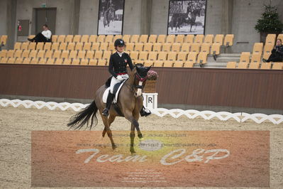 Ecco Cup finaler 2019
youngrider, u18
Nøgleord: ditte kvistgaard;divina