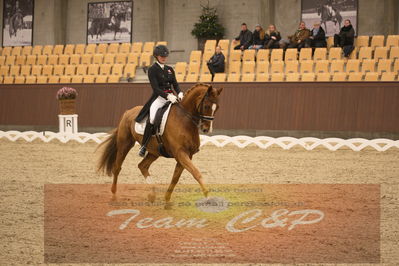 Ecco Cup finaler 2019
youngrider, u18
Nøgleord: laura j rasmussen;toftens dornier