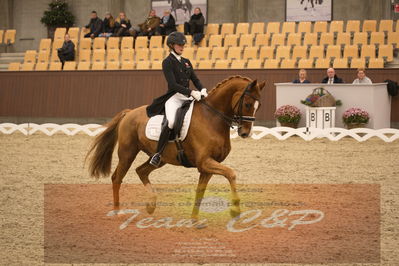 Ecco Cup finaler 2019
youngrider, u18
Nøgleord: laura j rasmussen;toftens dornier