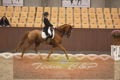 Ecco Cup finaler 2019
youngrider, u18
Nøgleord: laura j rasmussen;toftens dornier