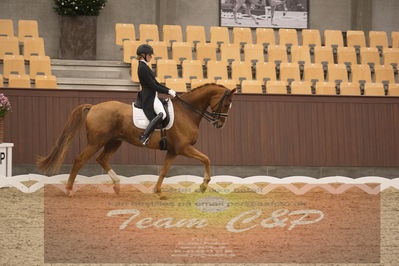 Ecco Cup finaler 2019
youngrider, u18
Nøgleord: laura j rasmussen;toftens dornier