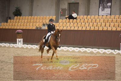 Ecco Cup finaler 2019
youngrider, u18
Nøgleord: laura j rasmussen;toftens dornier