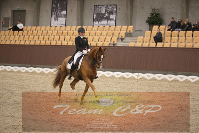 Ecco Cup finaler 2019
youngrider, u18
Nøgleord: laura j rasmussen;toftens dornier