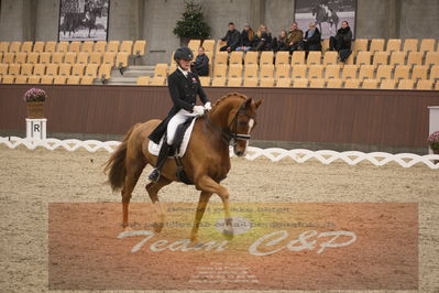Ecco Cup finaler 2019
youngrider, u18
Nøgleord: laura j rasmussen;toftens dornier