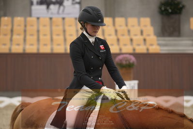 Ecco Cup finaler 2019
youngrider, u18
Nøgleord: laura j rasmussen;toftens dornier