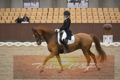 Ecco Cup finaler 2019
youngrider, u18
Nøgleord: laura j rasmussen;toftens dornier