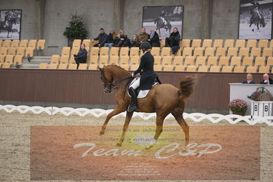 Ecco Cup finaler 2019
youngrider, u18
Nøgleord: laura j rasmussen;toftens dornier