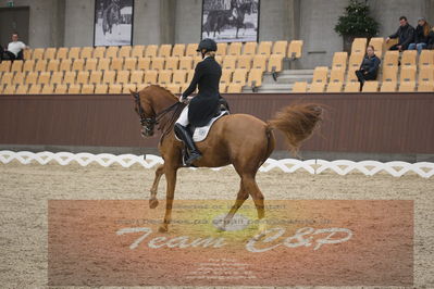 Ecco Cup finaler 2019
youngrider, u18
Nøgleord: laura j rasmussen;toftens dornier