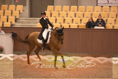 Ecco Cup finaler 2019
youngrider, u18
Nøgleord: victoria kuusisto pedersen;langkjærgaard's donna fetti