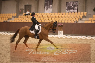 Ecco Cup finaler 2019
youngrider, u18
Nøgleord: victoria kuusisto pedersen;langkjærgaard's donna fetti