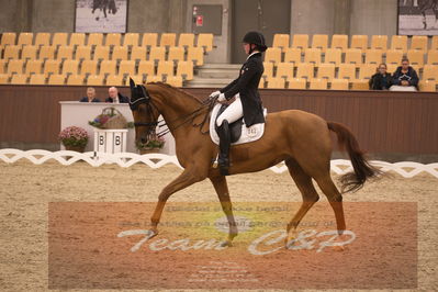 Ecco Cup finaler 2019
youngrider, u18
Nøgleord: victoria kuusisto pedersen;langkjærgaard's donna fetti