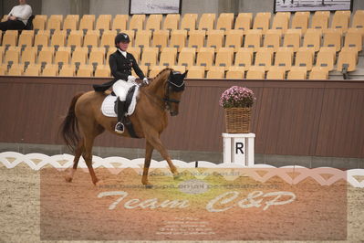 Ecco Cup finaler 2019
youngrider, u18
Nøgleord: victoria kuusisto pedersen;langkjærgaard's donna fetti