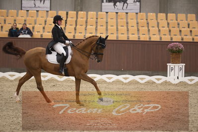 Ecco Cup finaler 2019
youngrider, u18
Nøgleord: victoria kuusisto pedersen;langkjærgaard's donna fetti