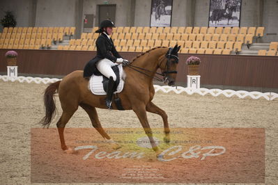 Ecco Cup finaler 2019
youngrider, u18
Nøgleord: victoria kuusisto pedersen;langkjærgaard's donna fetti