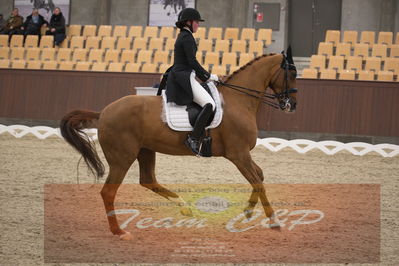 Ecco Cup finaler 2019
youngrider, u18
Nøgleord: victoria kuusisto pedersen;langkjærgaard's donna fetti