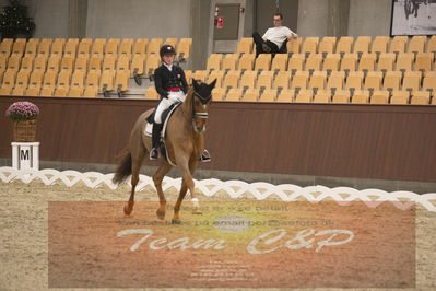 Ecco Cup finaler 2019
youngrider, u18
Nøgleord: sara van deurs petersen;katholm's ronaldo