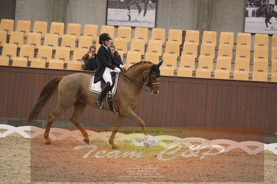 Ecco Cup finaler 2019
youngrider, u18
Nøgleord: sara van deurs petersen;katholm's ronaldo