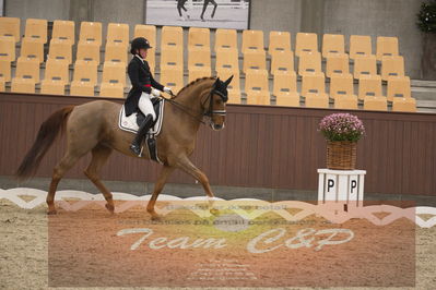 Ecco Cup finaler 2019
youngrider, u18
Nøgleord: sara van deurs petersen;katholm's ronaldo