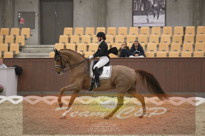 Ecco Cup finaler 2019
youngrider, u18
Nøgleord: sara van deurs petersen;katholm's ronaldo