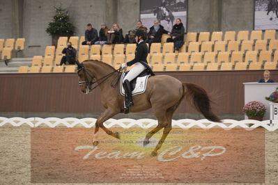 Ecco Cup finaler 2019
youngrider, u18
Nøgleord: sara van deurs petersen;katholm's ronaldo
