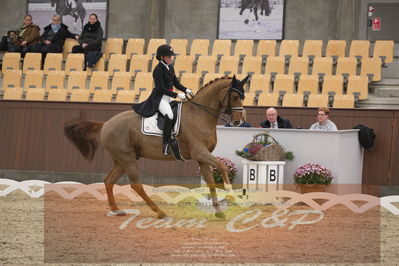 Ecco Cup finaler 2019
youngrider, u18
Nøgleord: sara van deurs petersen;katholm's ronaldo