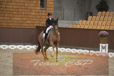 Ecco Cup finaler 2019
youngrider, u18
Nøgleord: sara van deurs petersen;katholm's ronaldo