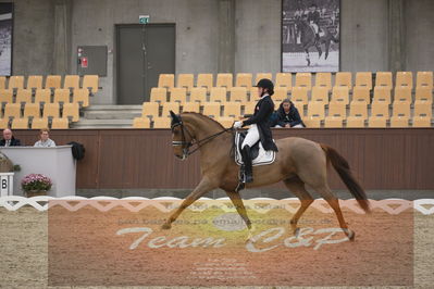 Ecco Cup finaler 2019
youngrider, u18
Nøgleord: sara van deurs petersen;katholm's ronaldo