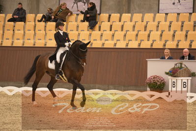 Ecco Cup finaler 2019
youngrider, u18
Nøgleord: karoline rohmann;jakas don louvre
