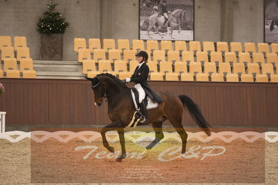 Ecco Cup finaler 2019
youngrider, u18
Nøgleord: karoline rohmann;jakas don louvre