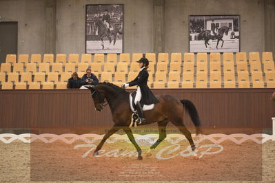 Ecco Cup finaler 2019
youngrider, u18
Nøgleord: karoline rohmann;jakas don louvre