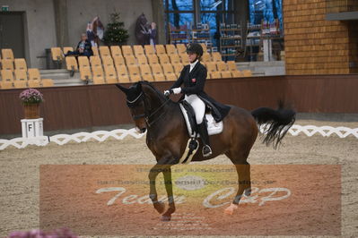 Ecco Cup finaler 2019
youngrider, u18
Nøgleord: karoline rohmann;jakas don louvre